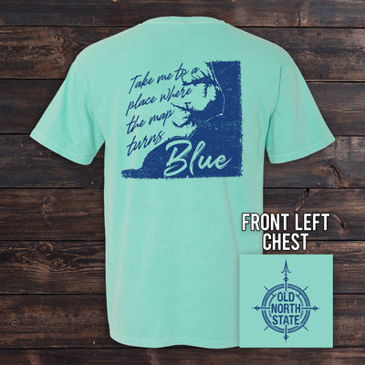 The Old North State - Map Turns Blue NC